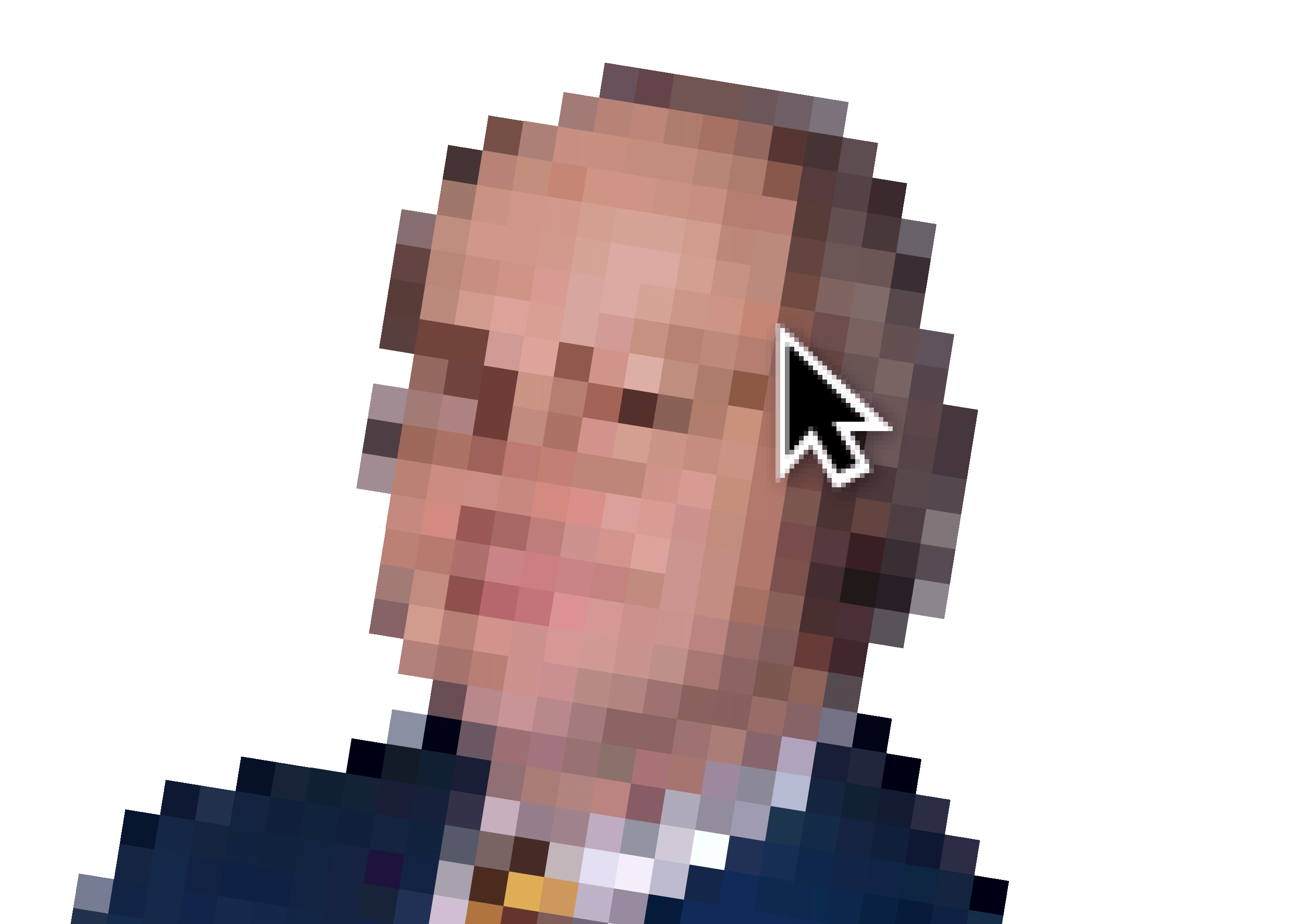Jakob Nielsen, pixelated with macOS pointer
