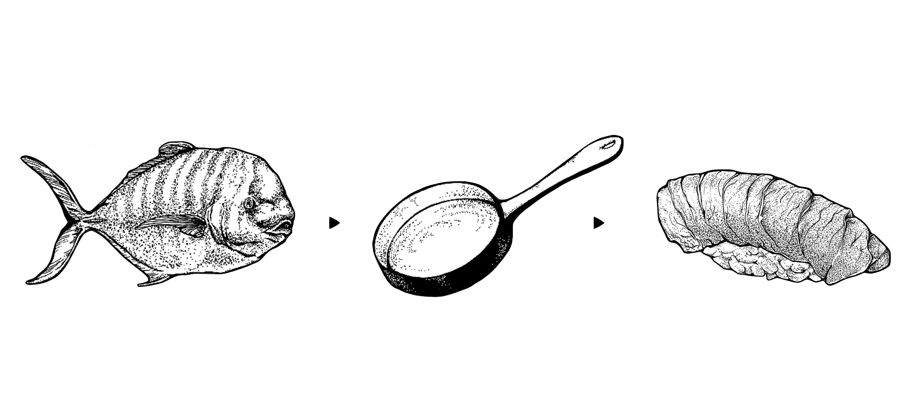 From raw to cooked to sushi