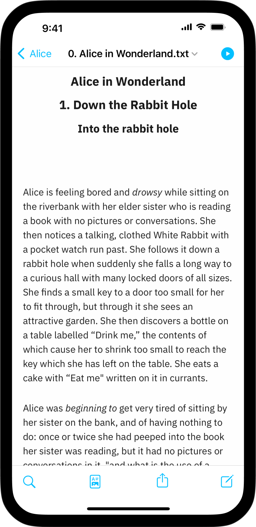 A screenshot of the Preview with the text from the previous files displayed.