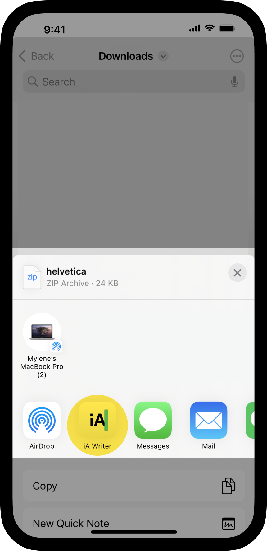 A screenshot of the iOS Share menu with the item 