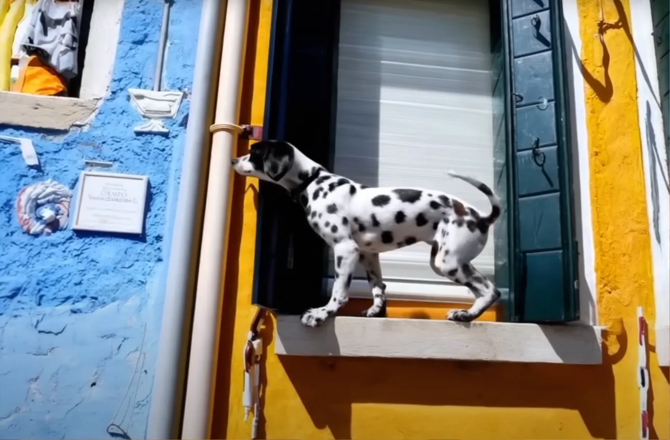 AI-generated image of a Dalmatian ready to jump from a window to another