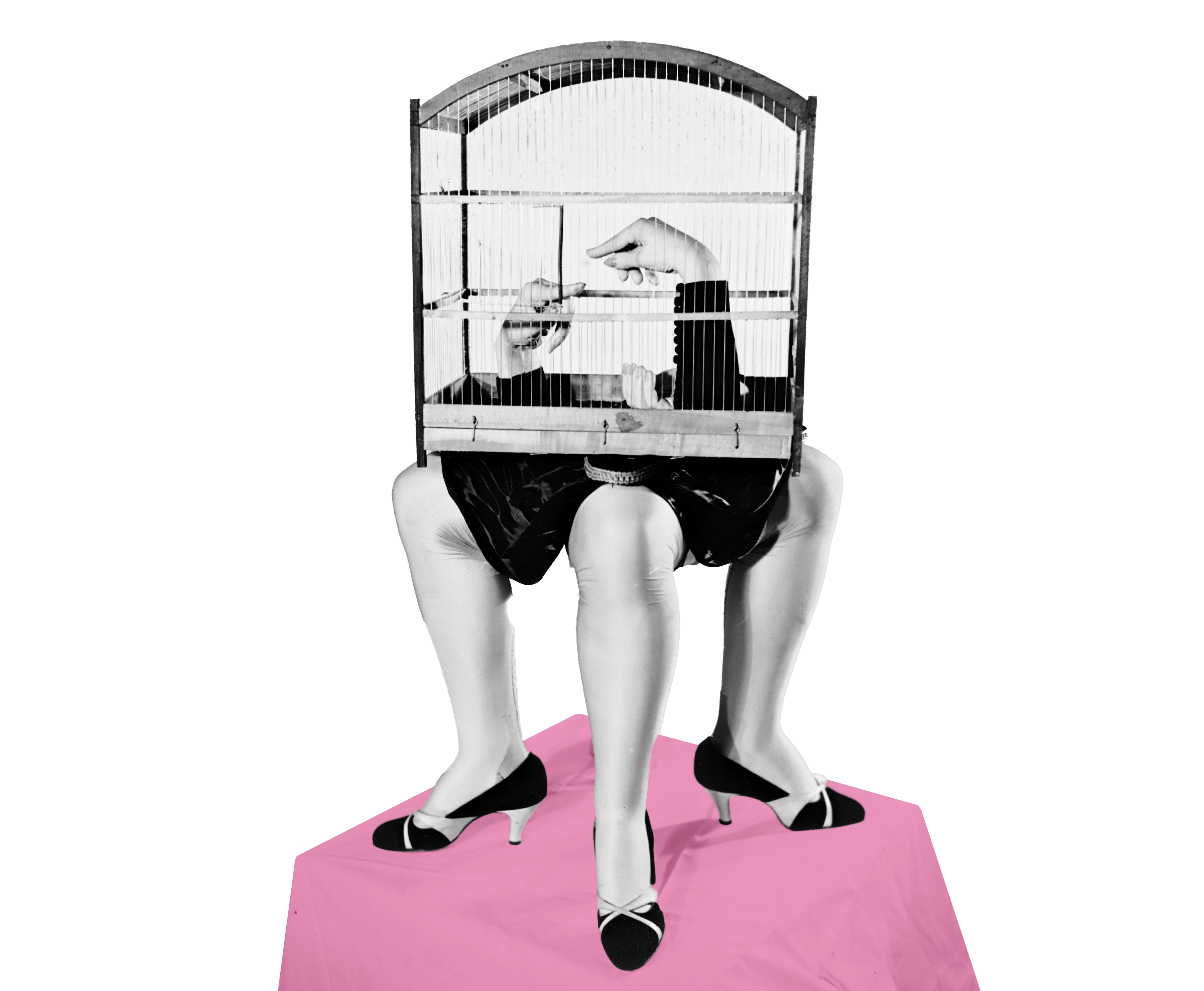 Three human legs as a base for the cage and hands shaped as birds (L'Ultrameuble by Kurt Seligmann, Rijksmuseum)