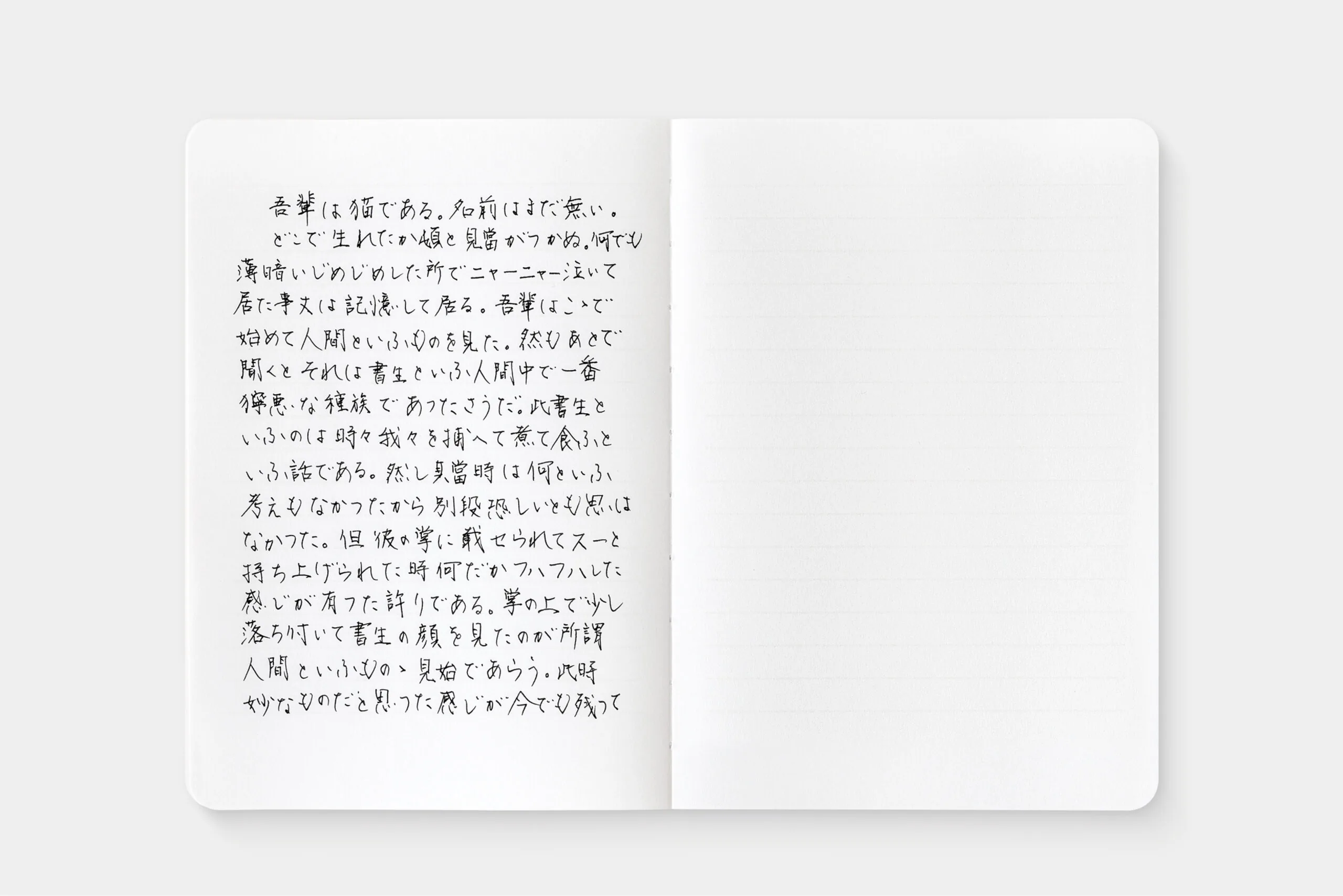 Notebook showing the left side with text, the right with none