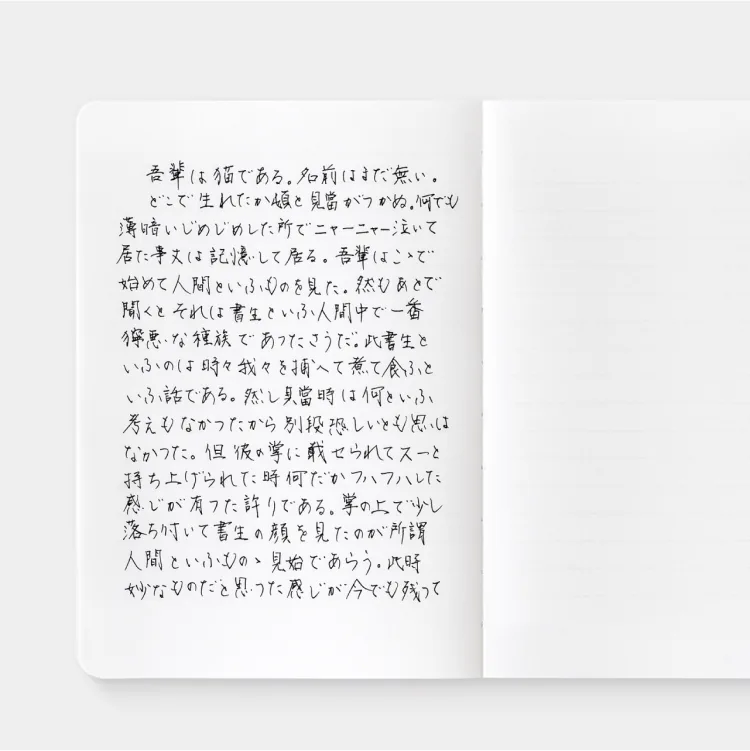 Notebook showing the left side with text, the right with none