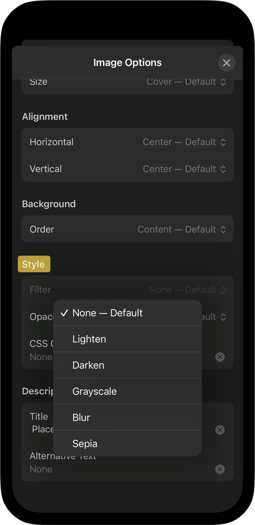 Screenshot showing filter options from the Image Options menu.
