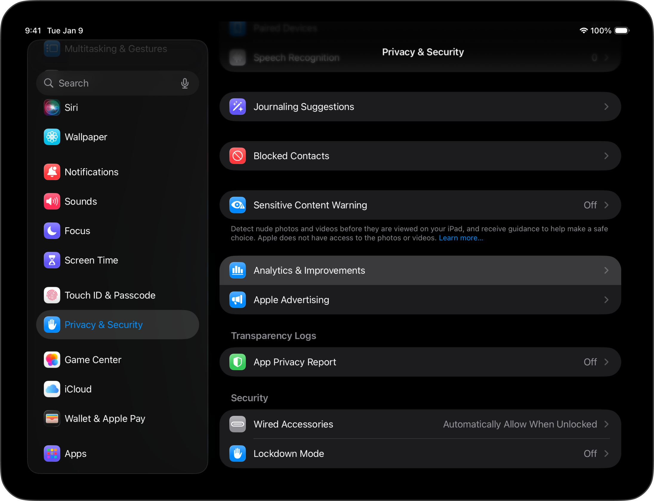 Screenshot of the iPadOS Settings, Privacy and security, to share analytics with developers.