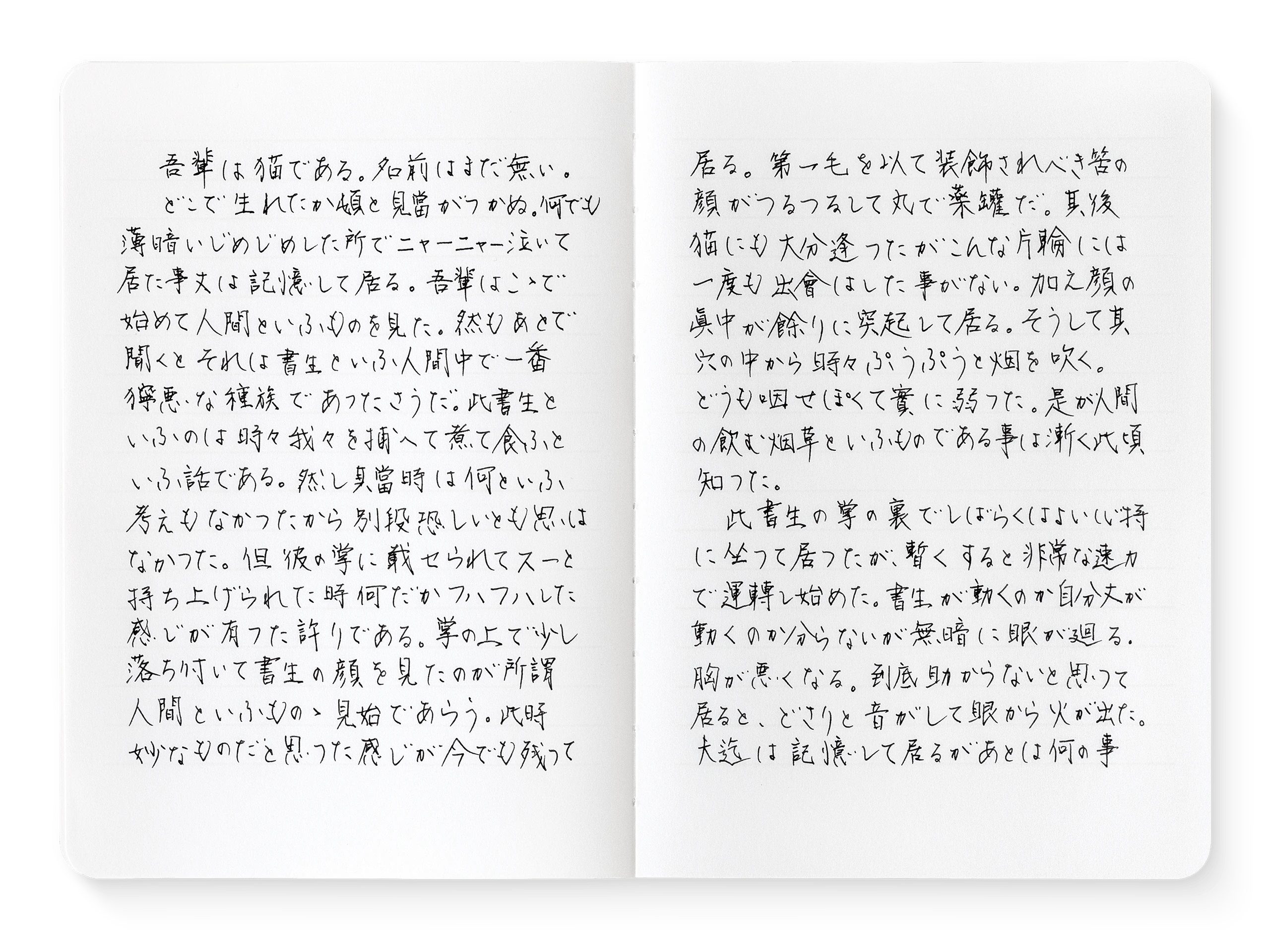 Notebook with text where lines appear to disappear